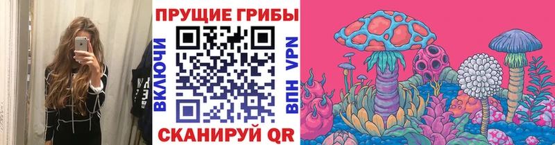 kraken ONION  Трёхгорный  Псилоцибиновые грибы Psilocybine cubensis  хочу наркоту 